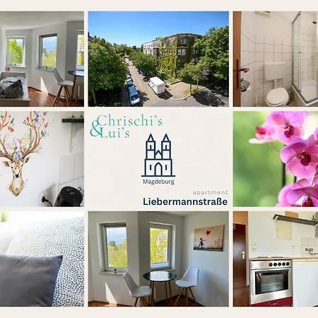 1-zimmer-apartment Nahe Uniklinik, Ruhig, Gut Angebunden Magdeburg