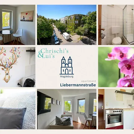 Gemuetliches 1-zimmer-apartment In Magdeburg, Ruhig Und Zentral Gelegen *
