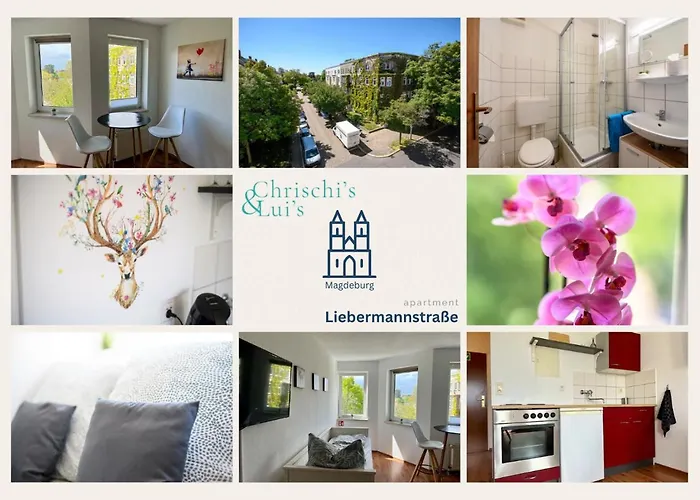 Gemuetliches 1-zimmer-apartment In Magdeburg, Ruhig Und Zentral Gelegen *